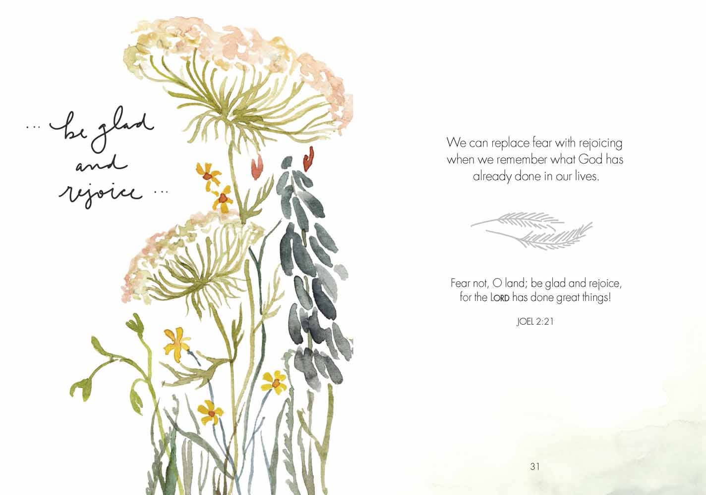 Fields of Joy Book