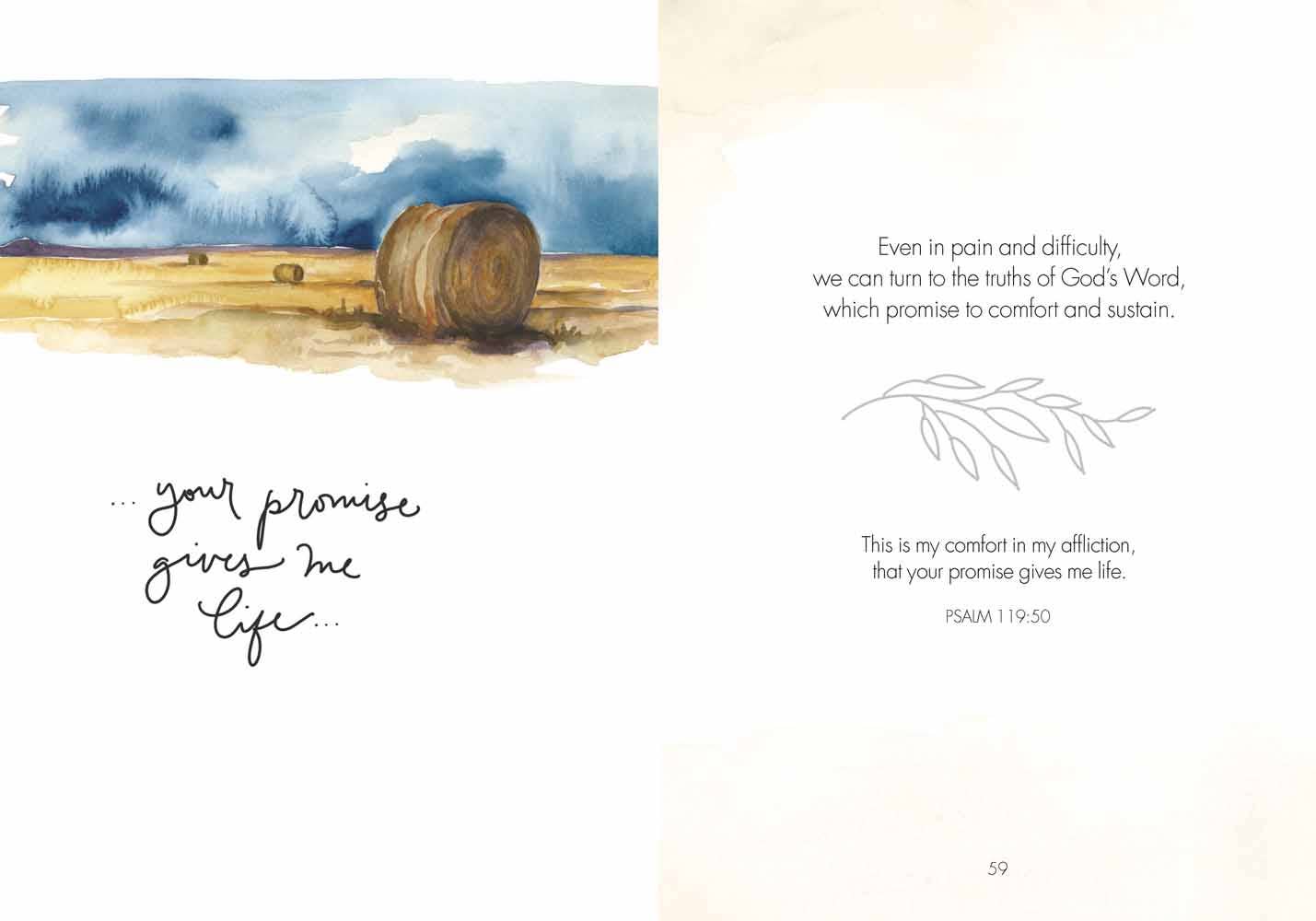 Fields of Joy Book