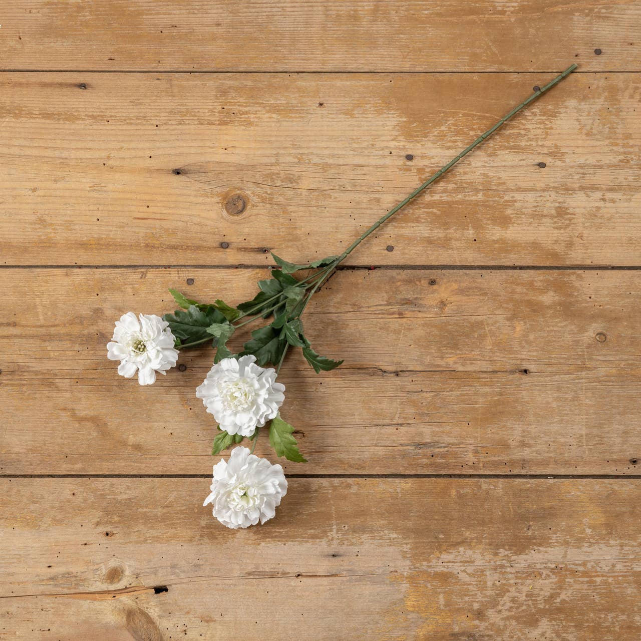 White Scabiosa Spray