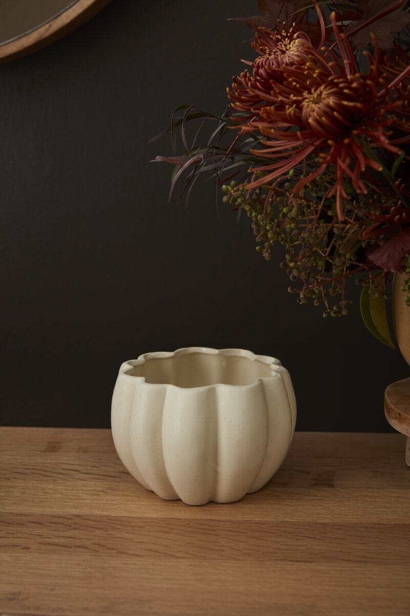 Spiced Pumpkin Pot