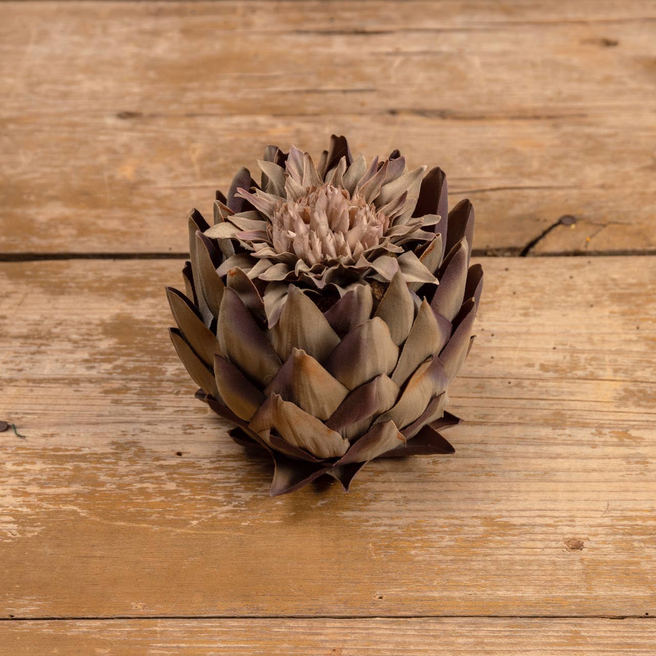 Sage Artichoke Head - Mustard Seed Faith Co.