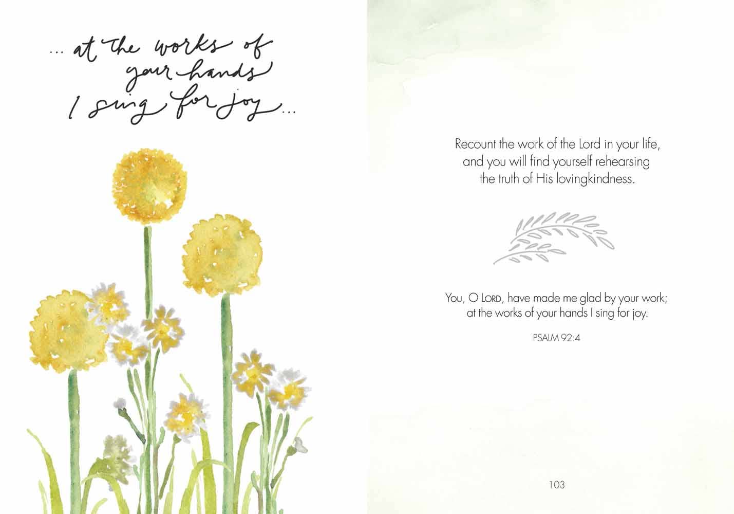 Fields of Joy Book