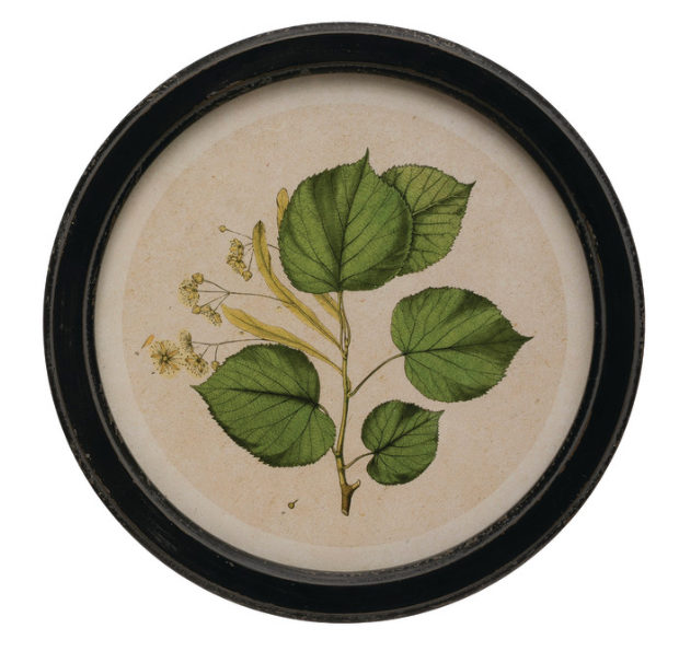 Circle Vintage Style Botanical Prints