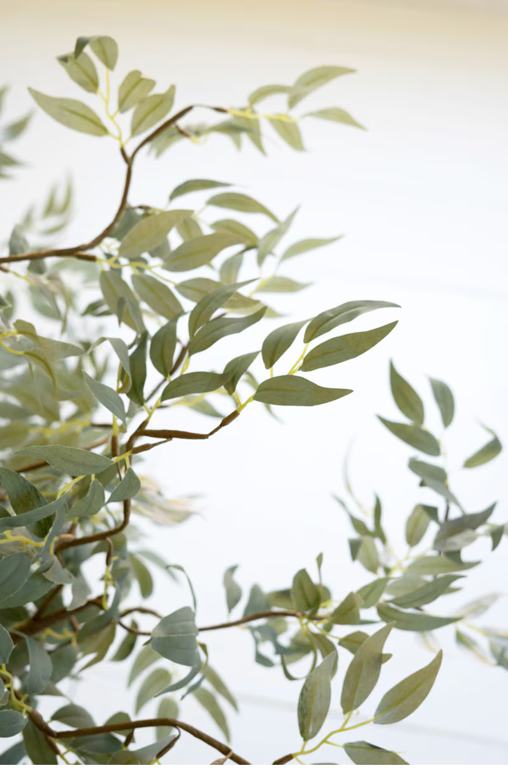 Green Botanica