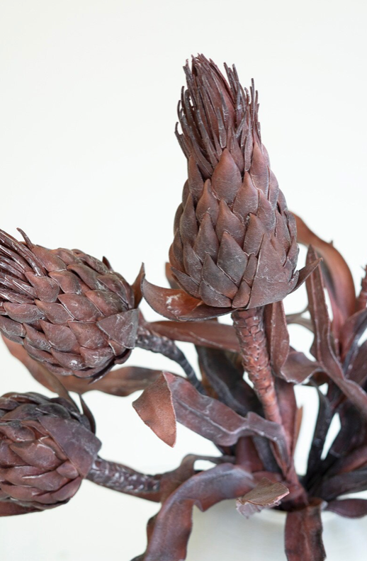 Frosted Botanica
