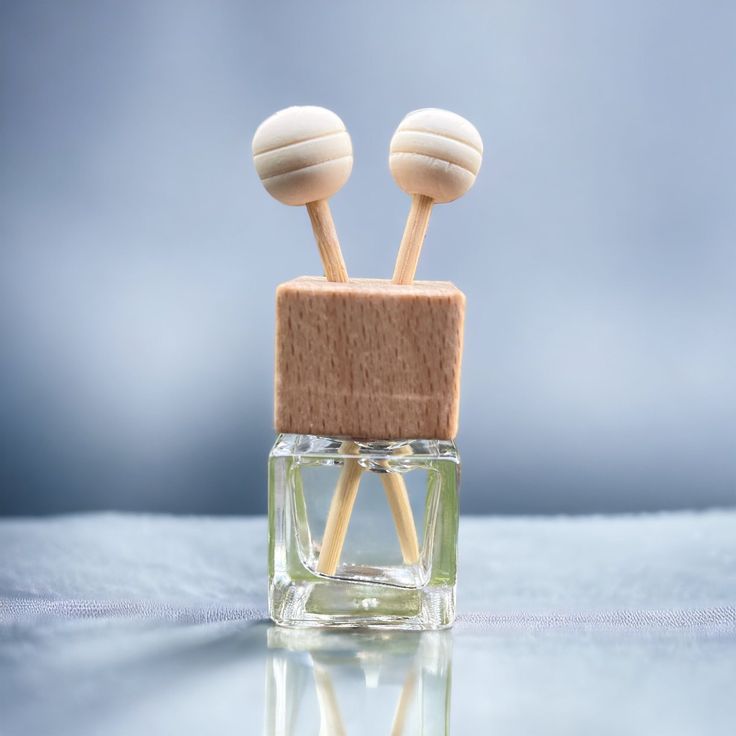 Fall Collection Car Diffuser - Square Clip On Bottle