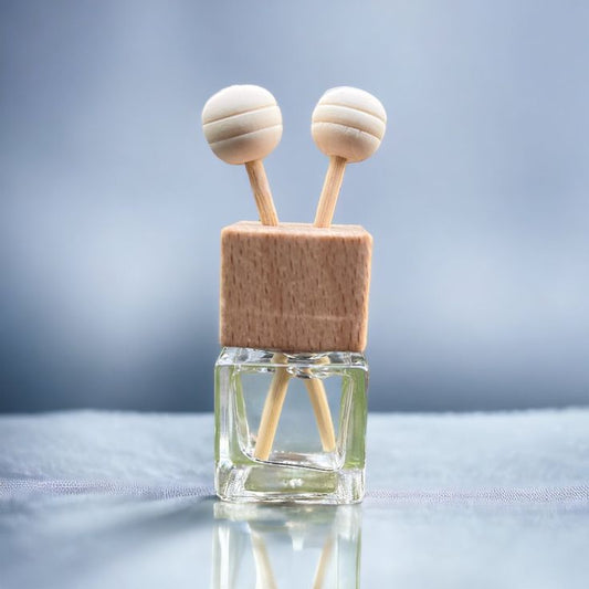 Fall Collection Car Diffuser - Square Clip On Bottle