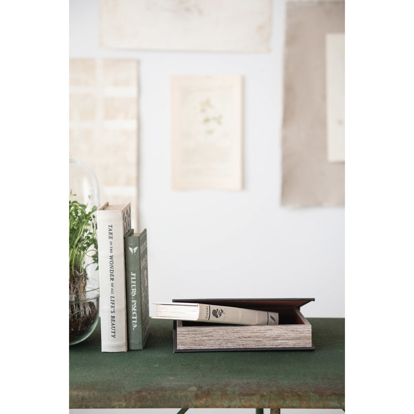 Canvas Storage Books Set/2