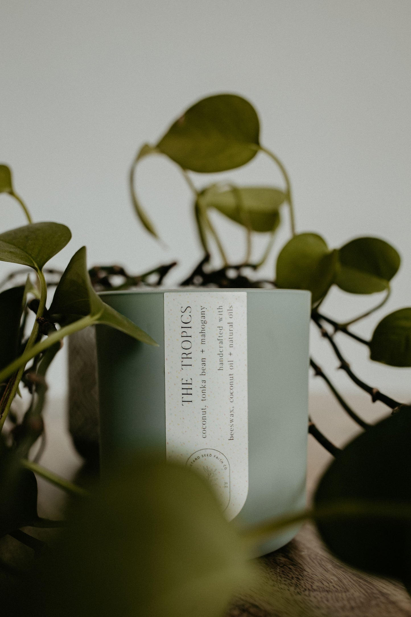 The Tropics - Mustard Seed Faith Co.