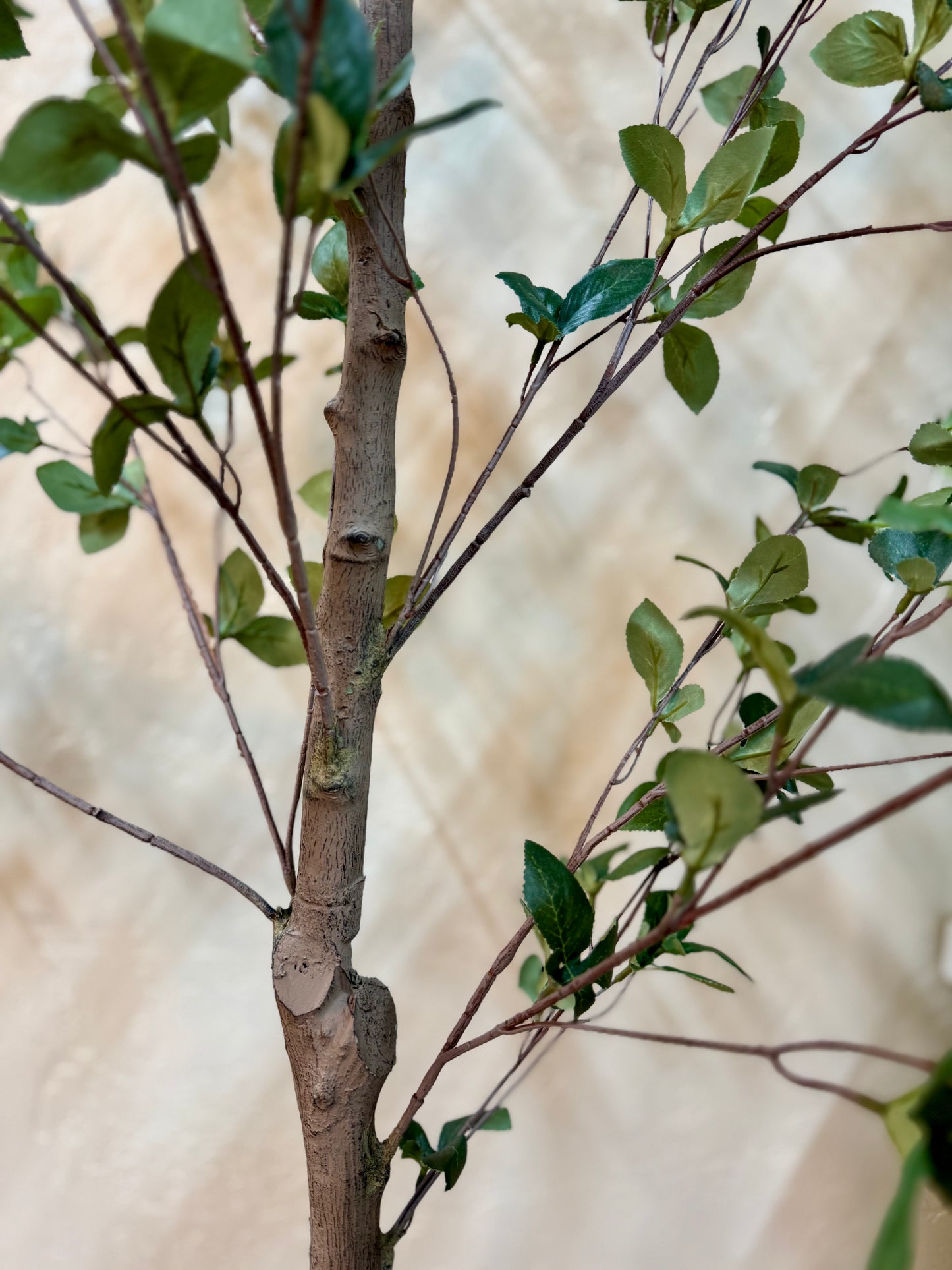 Faux Ficus Tree in Plastic Pot