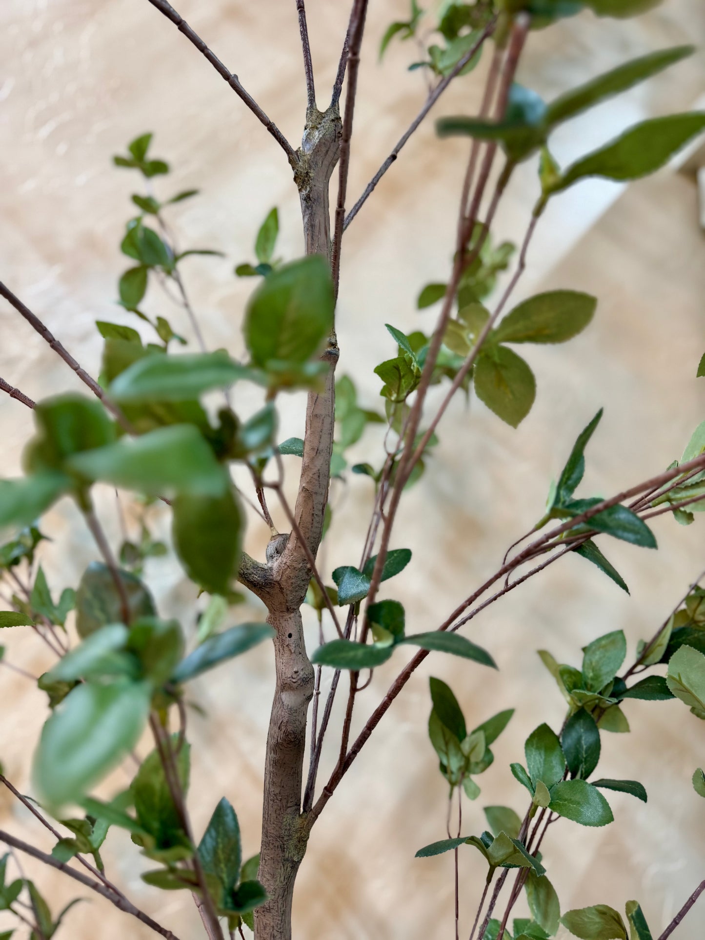 Faux Ficus Tree in Plastic Pot