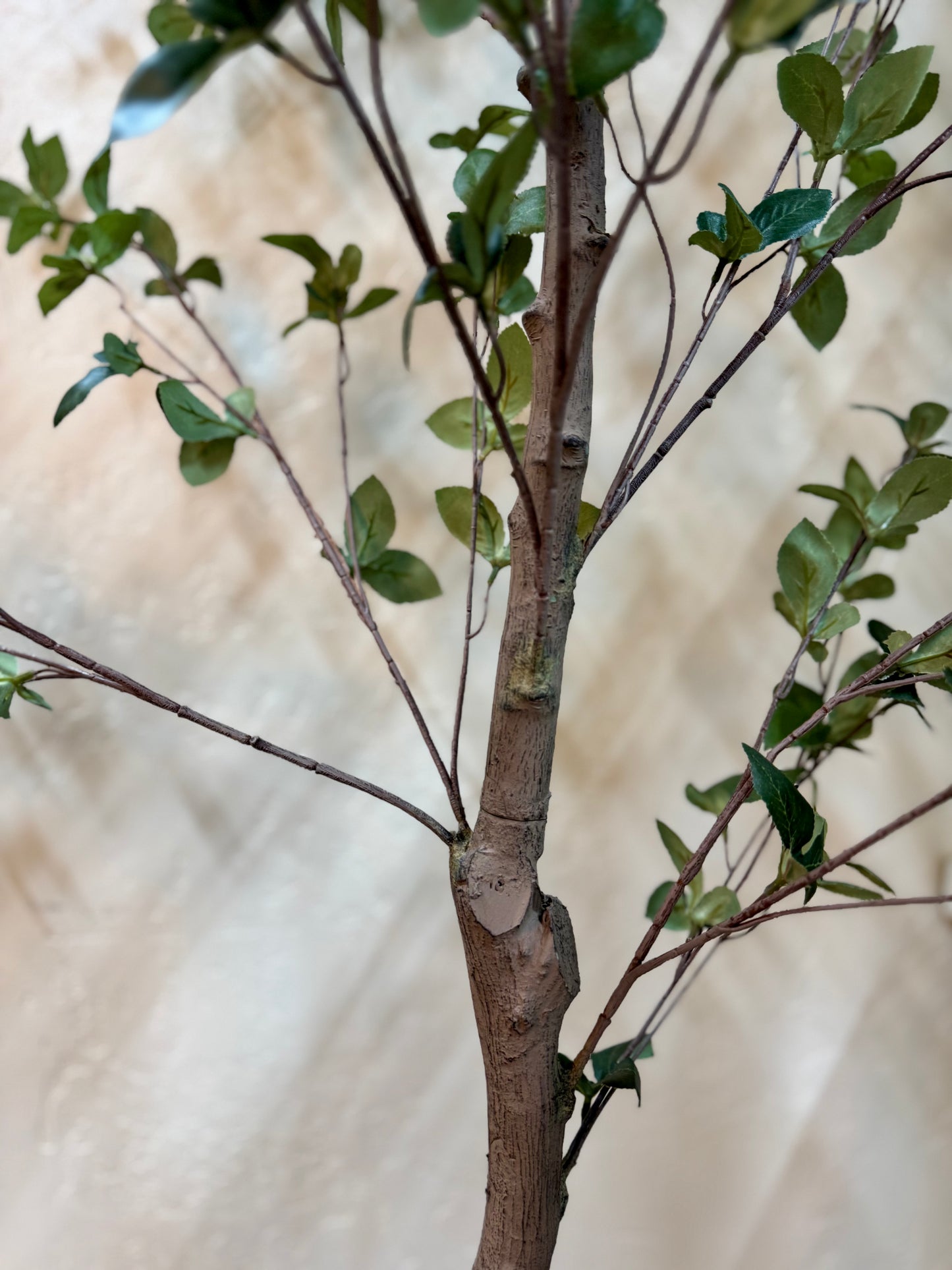 Faux Ficus Tree in Plastic Pot