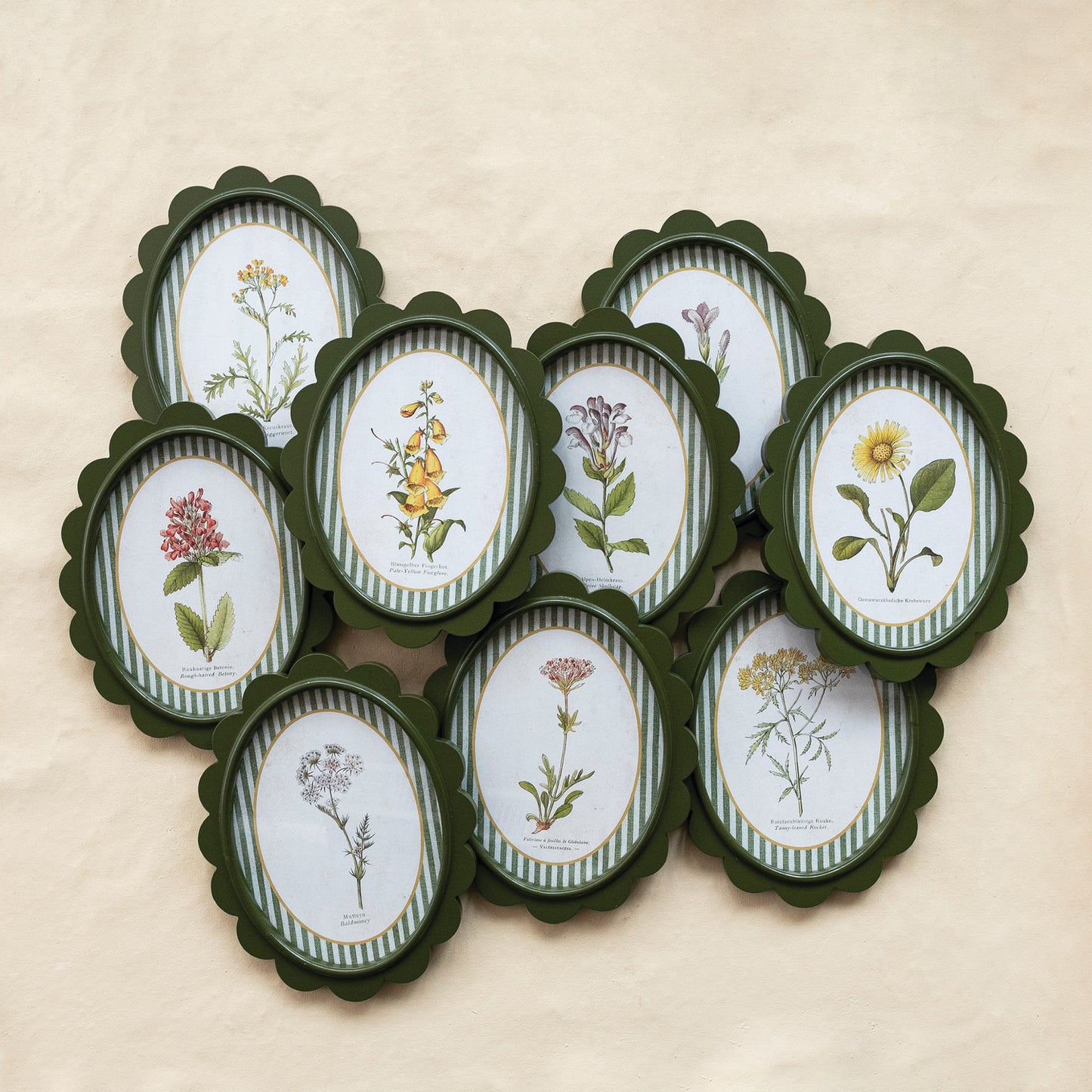 Striped Petal Scalloped Frame